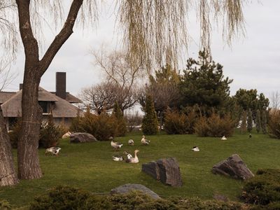 Glass of water on a stone coaster near window